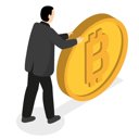 bitcoin big coin icon