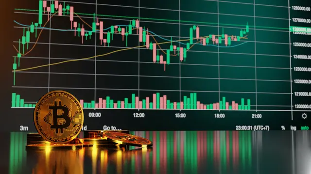 How to assess the potential of a crypto asset?
