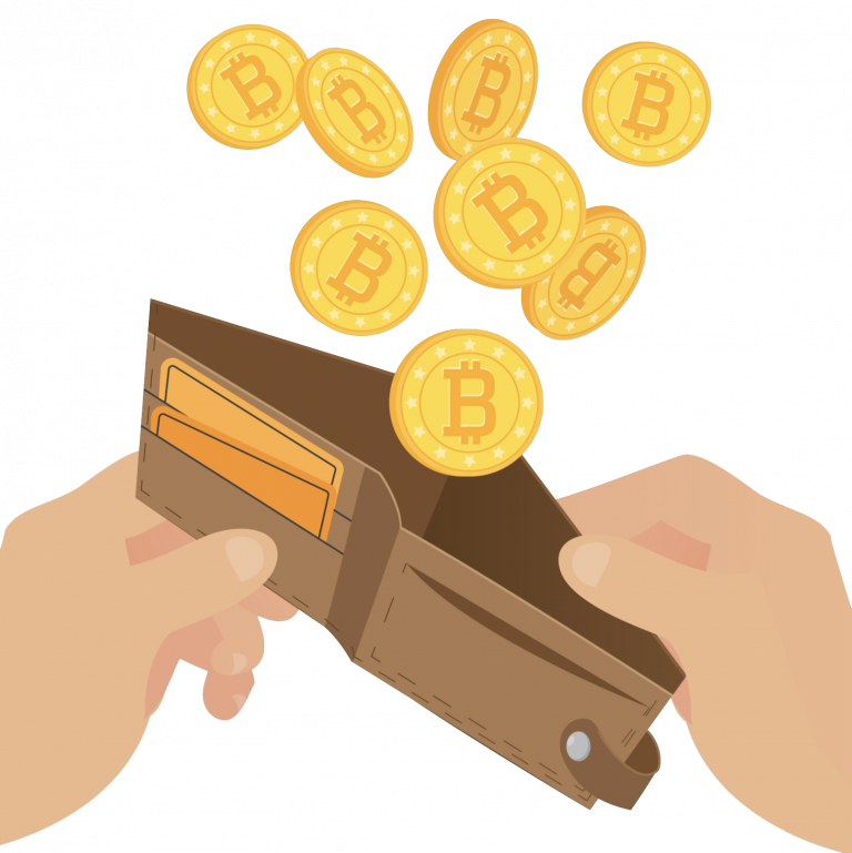 3 Best Bitcoin / Cryptocurrency Wallets → 2024 (Tutorial & Reviews)